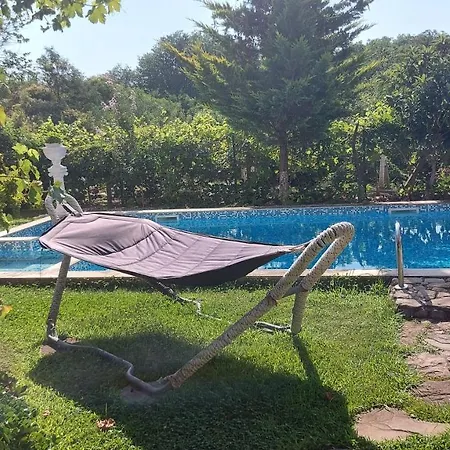 Appartement акротирия фешева